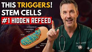 This #1 HIDDEN Refeed Food TRIGGERS Stem Cells Instantly After Fasting   Slows Aging !