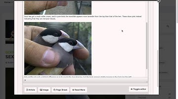 Adding content to a Joomla website using K2