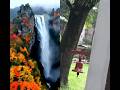 viral video #foryou #nature #travel #beautiful #music #love