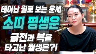 [소띠 운세] 태어난 월로 보는 소띠의 평생 운세! 소띠 중 복을 타고난 월생은?! 2025년 소띠에게 찾아오는 변화와 기회들!! 61년생 73년생 85년생 97년생 운세