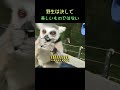 野生は決して美しくない。