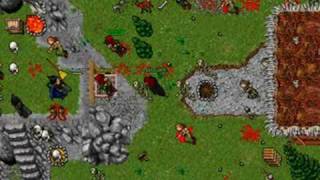 Tibia Solo - Amazon Camp - Level 10!