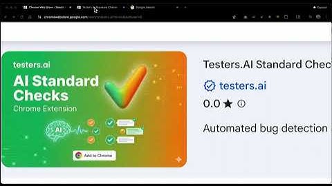 Testers.AI: Find Bugs with over 1000 Standard Checks in Chrome