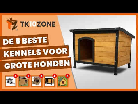 De 5 beste