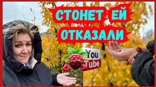 видео: Деревенский дневник /Стонет /Леле отказали /Обзор /Мать-героиня /Леля Побируха /Быкова  картинка: Деревенский дневник /Стонет /Леле отказали /Обзор /Мать-героиня /Леля Побируха /Быкова