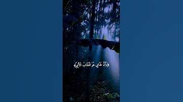 راحه نفسيه🎧😴🕊️نبئ عبادي اني انا الغفور الرحيم💙 قرآن كريم بصوت جميل جدا تلاوه خاشعه 𝙌𝙪𝙧𝙖𝙣 𝙎𝙩𝙖𝙩𝙪𝙨❤️✨