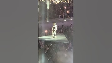 Thumbnail of GNX Tour At Met Life Stadium. Kendrick Lamar & SZA.  Beyond Amazing!!!! KDOT....  Packed Stadium!!