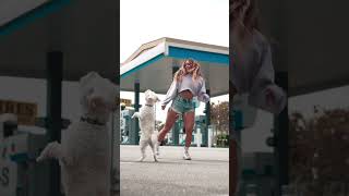 Dog Dances With Owner To Their Favorite Song: Too Adorable | Dancing Dog |