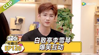 EP120期超长尊享版:白敬亭李雪琴爆笑互动!|《毛雪汪》#综艺 #毛雪汪 #李雪琴 #毛不易