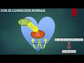 Lecture simple dun ecg 1non pathologique les chats noirs du 3sm