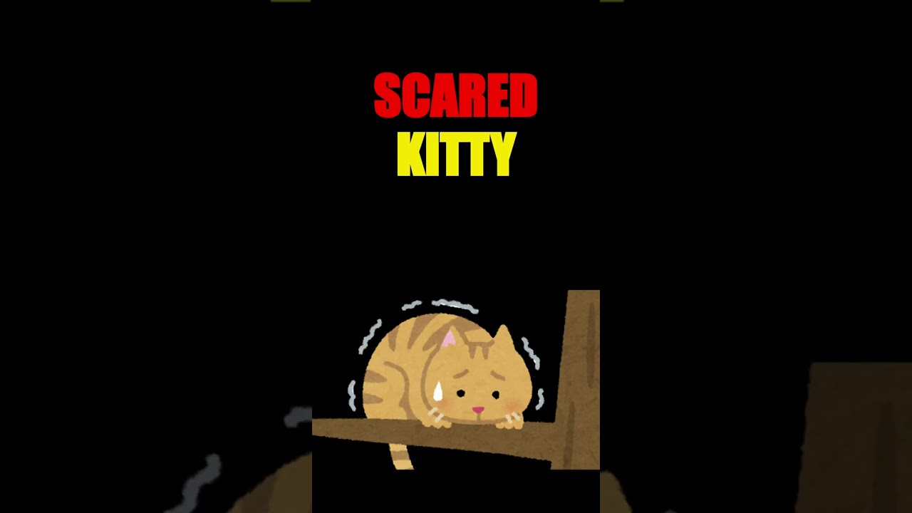 Castlevania: Symphony of the Scared Kitty's Litterbox