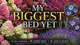 Transforming a Blank Lawn Into My Biggest Garden Bed Yet Hydrangeas Trees 100 Plants