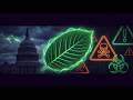 Kratom: Obat Kuno atau Ancaman Modern? | Podcast Eksklusif