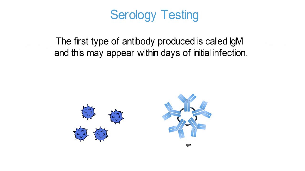 Featured image of post Testing And Screening Are Synonymous True Or False These questions are notorious for