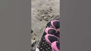 MINELAB XTERRA PRO IDEAL BEACH MACHINE