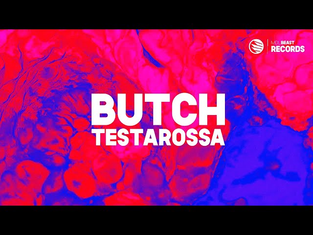 BUTCH - Testarossa