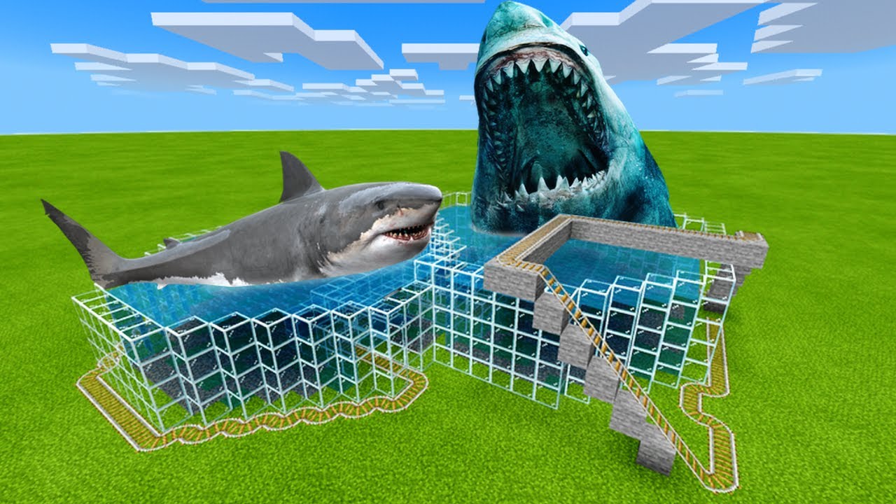 Shark Minecraft Build MCPE: How To Make a Shark & Megalodon Roller Coaster - YouTube