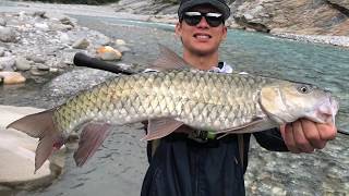 Stream Fishing In Taiwan 你又踩我竿子 2018 Day2 東部溪流釣卷仔 捲仔 何氏棘魞 Youtube