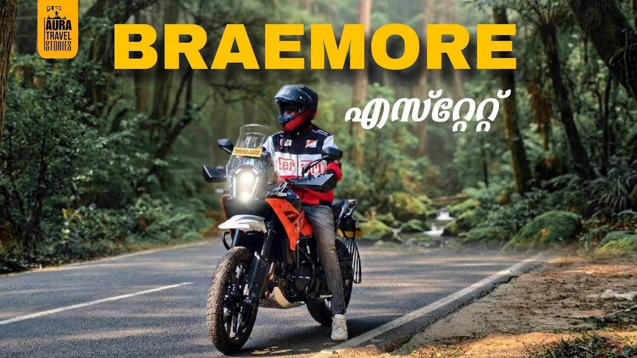 BRAEMORE ESTATE. മറക്കാൻ പറ്റില്ല ഈ അനുഭവം 🥹✨
