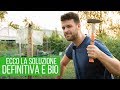 NON ho piÃ¹ CIMICI