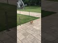 ゆうゆう散歩