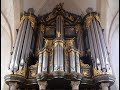 J S  Bach   Toccata, adagio and fugue in C major   BWV 564   Sietze de Vries   Martinikerk Groningen