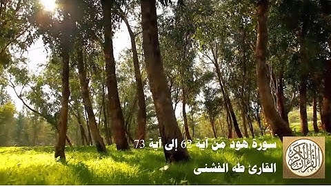 طه الفشني - سورة هود من آية ٦٢ إلى آية ٧٣ - قَالُوا يَا صَالِحُ قَدْ كُنتَ فِينَا مَرْجُوًّا ...