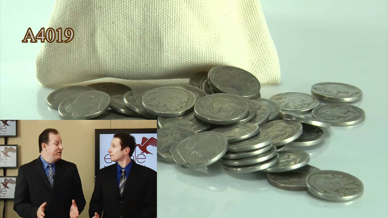 1/2 Pound Bag of Buffalo Nickels