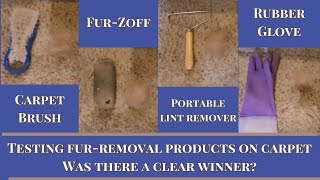 Testing some fur-removal products for carpets + bonus just-for-fun video of my fur babies #doglover by A Beautiful Mess | Extreme Cleaning 4,602 views 4 months ago 17 minutes