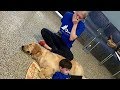 1分号泣 犬にもたれる息子を見て嗚咽が止まらない母親！その理由に胸が熱くなる･･･【感動】