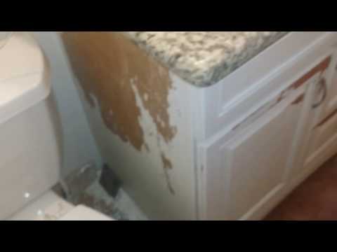 repainting-a-peeling-old-cabinet