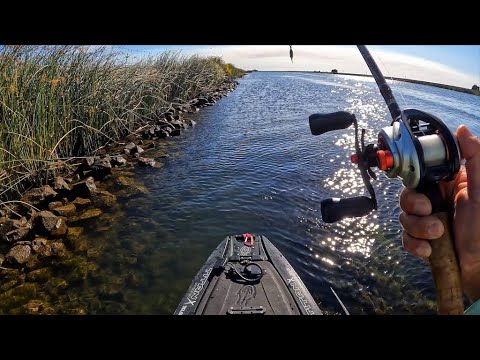Weirdest day out on the water in 2025