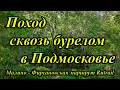 Поход сквозь бурелом в Подмосковье. Прохождение маршрута Rutrail "Фирсановка-Середниково"