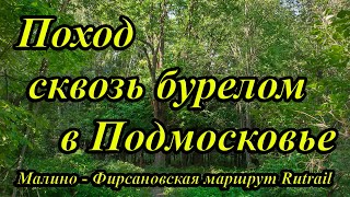 Поход сквозь бурелом в Подмосковье. Прохождение маршрута Rutrail &quot;Фирсановка-Середниково&quot;