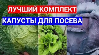 Лучшие Семена Капусты На Рассаду - Сейте, Не Прогадаете!