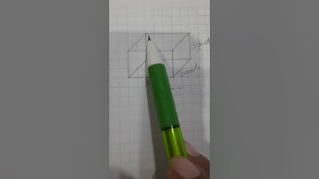 Grade 7 Ch - 13 Visualising Solid Shapes  (Exercise 13.2)