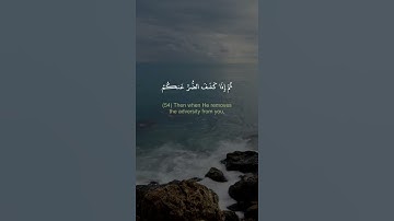وما بكم من نعمة فمن الله - القارىء محمد كمال هاشم - حالات واتس اب دينية قصيرة قران كريم تلاوة خاشعة