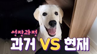 ENG SUB _ When Sonyeo was a baby vs Today