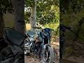 Pulsar definitely male #shorts #music #viral