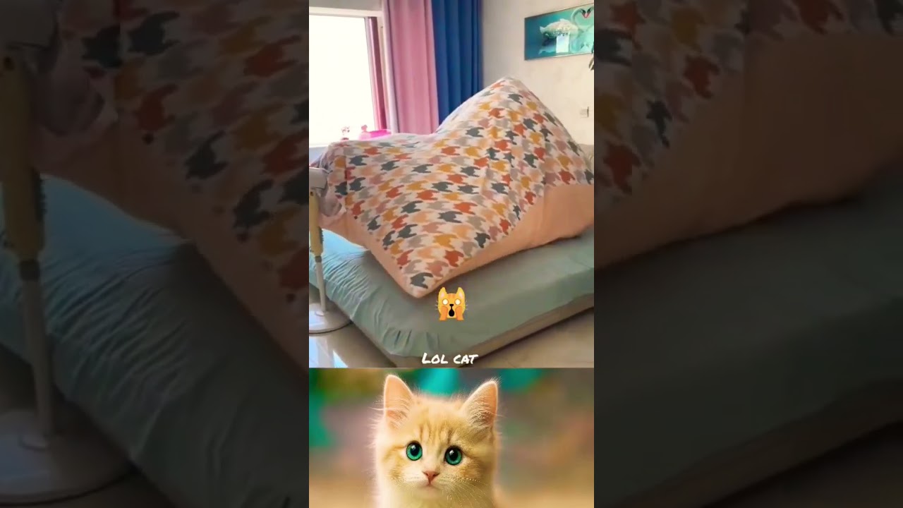 Wait for end 🤪 | 44 