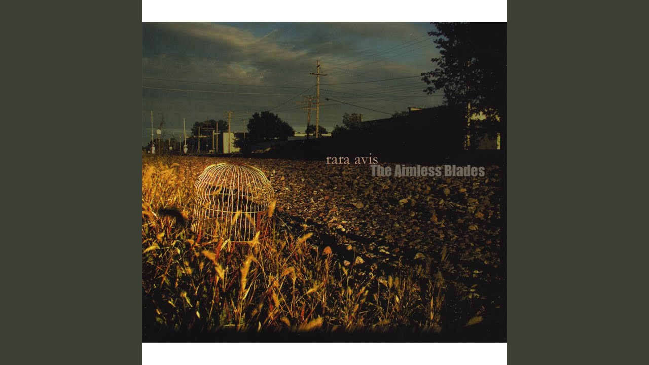 Dp At the Player Piano