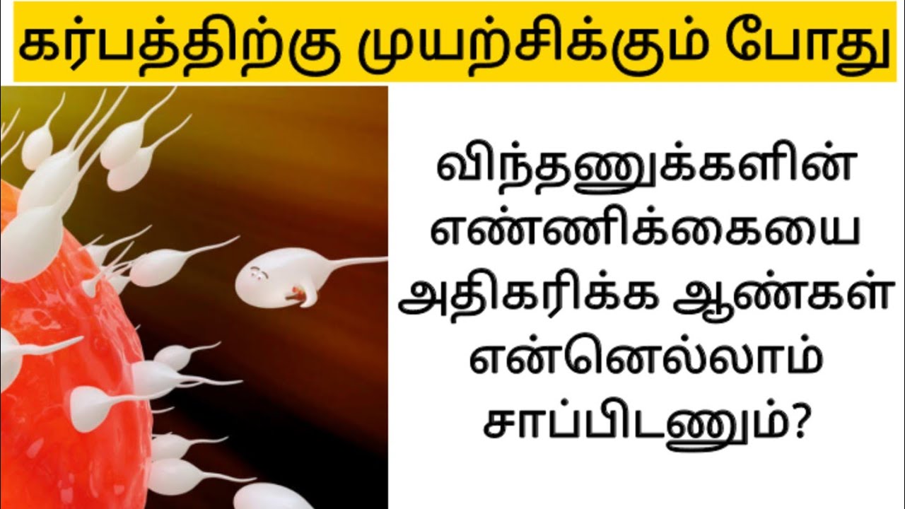 Foods To Increase Sperm Count And Quality In Tamil How To Increase foods-to-increase-sperm-count-and-quality-in-tamil-how-to-increase