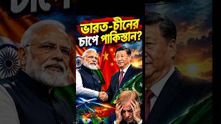 ভারতের চালে চীন, চাপে পাকিস্তান? #geopolitics #news #india #china #usa #pakistan #airplane #shorts