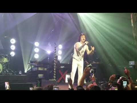 Bunbury - Parecemos tontos