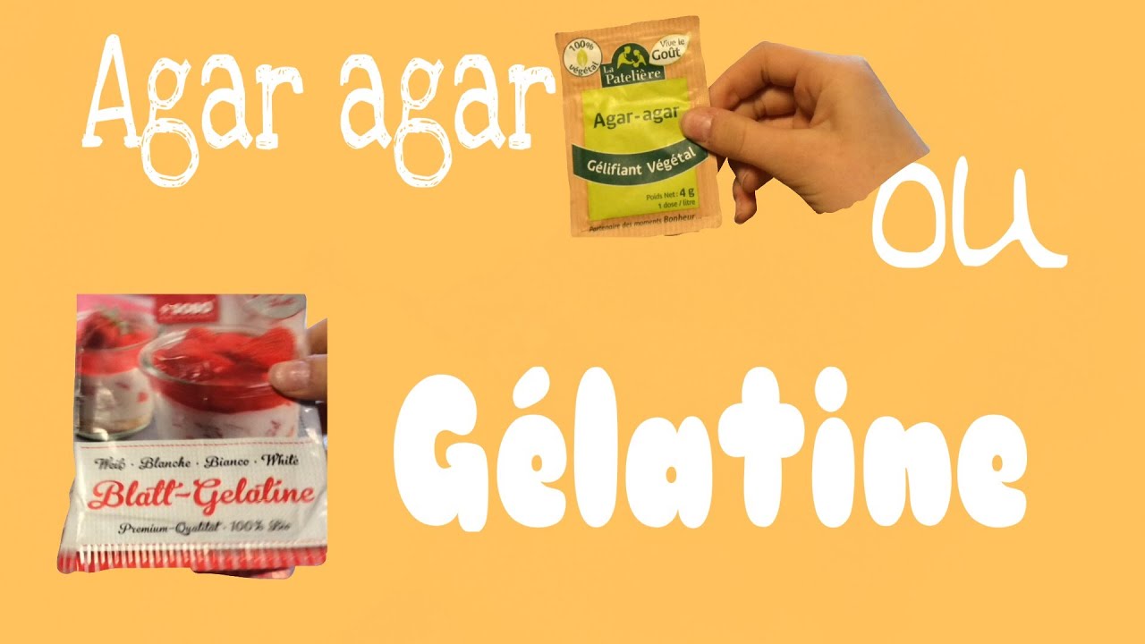 AGAR AGAR OU GELATINE ?! YouTube