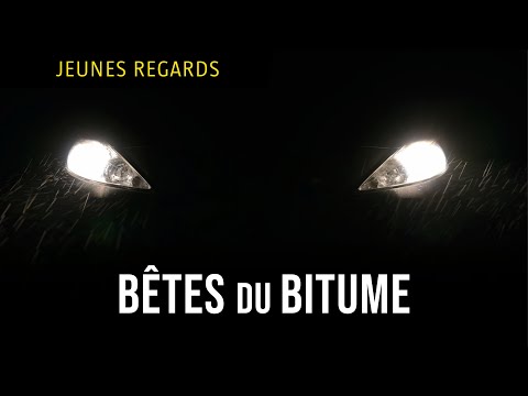Bêtes du bitume - Bande annonce SalamandreTV