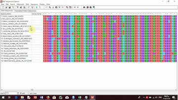 (Multiple sequence alignment,Phylogenetic) Bioinforamtics بالعربى