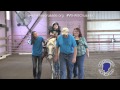 Hippotherapy program helping children in need thanks to the Crusade