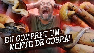 O RICHARD COMPROU MAIS DE 15 SERPENTES DE UMA VEZ! | A CASA DOS BICHOS