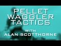 Pellet Waggler Tactics with Alan Scotthorne